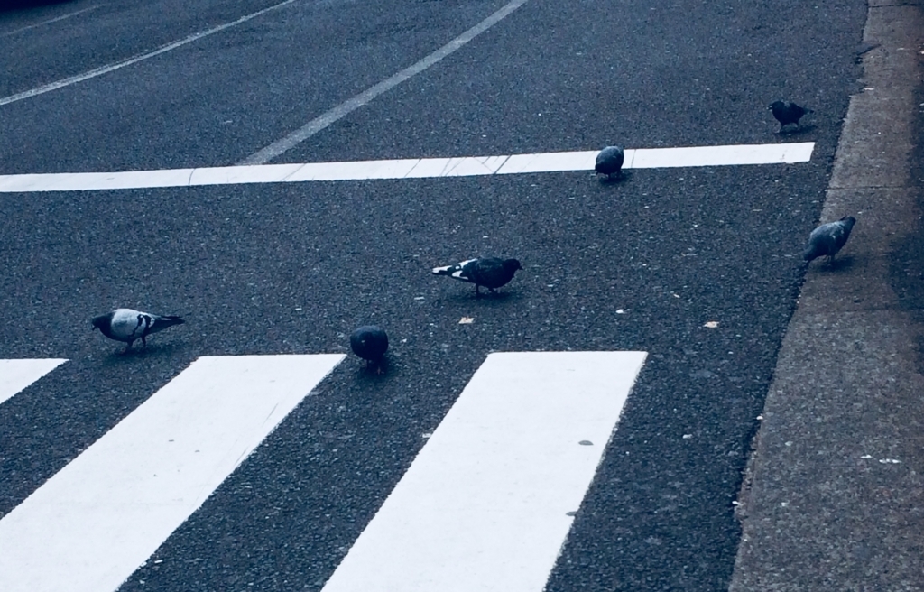 f:id:igooke:20180117135057j:plain