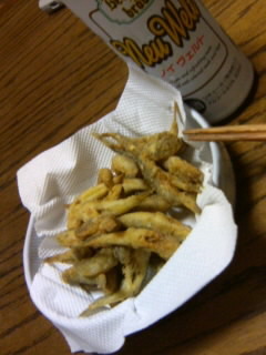 f:id:igusetsu:20090822212852j:image