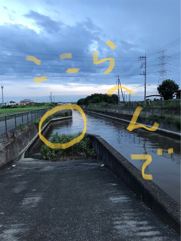 f:id:igusetsu:20190822194806j:image