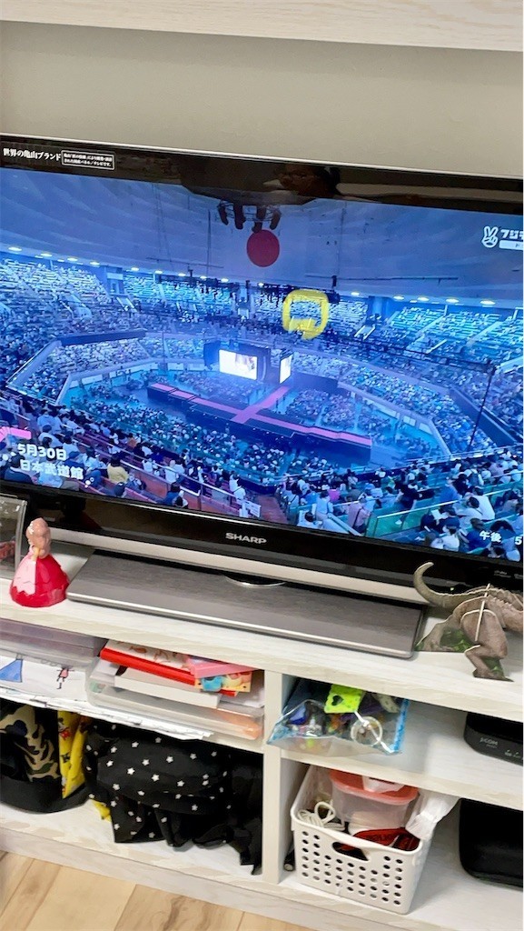 f:id:igusetsu:20220601001053j:image