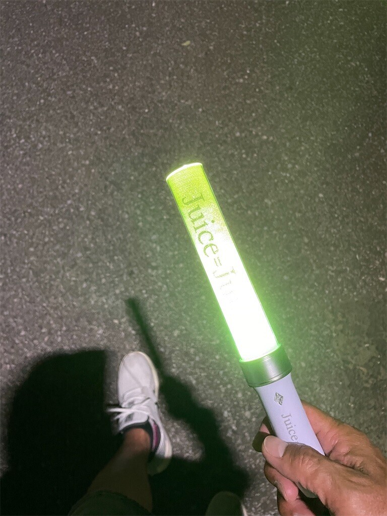 f:id:igusetsu:20240615222620j:image