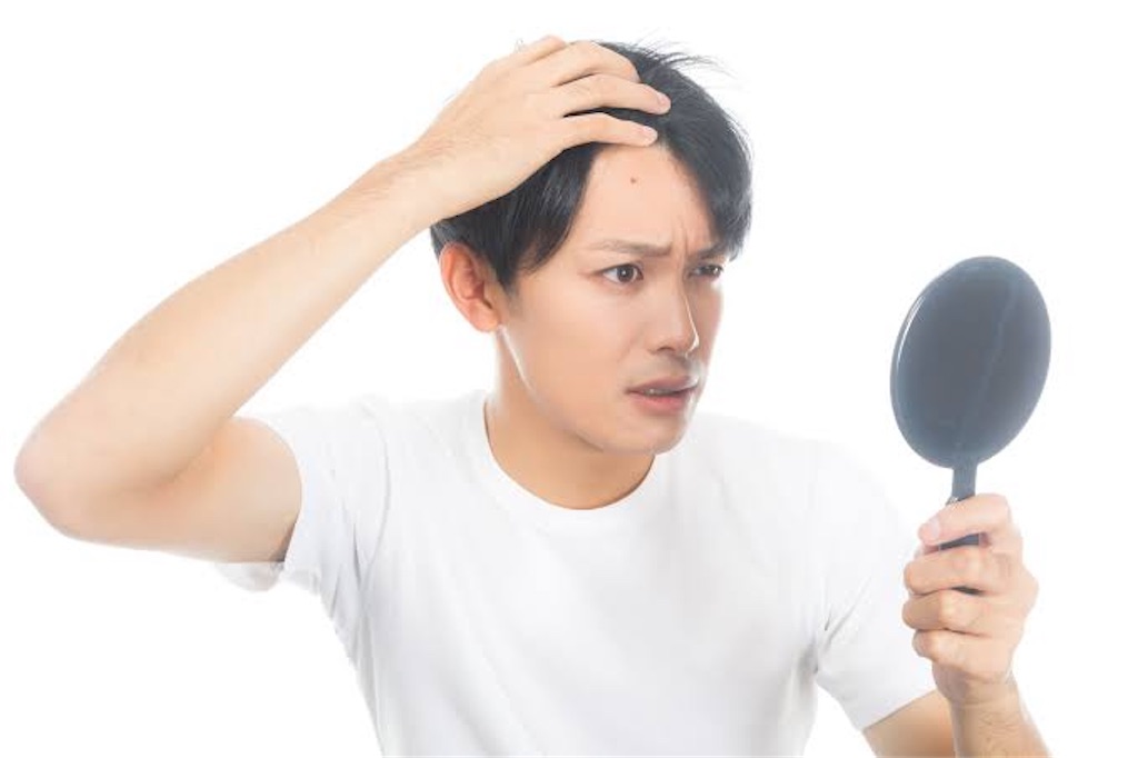 f:id:igusuke:20191102155919j:image