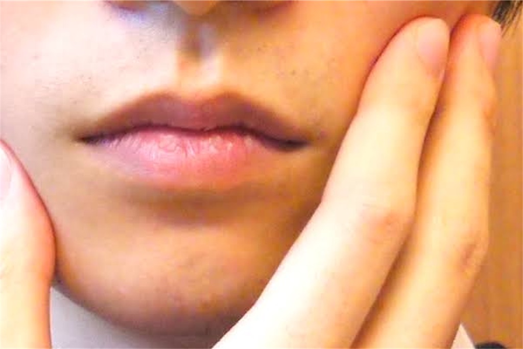 f:id:igusuke:20191111194455j:image
