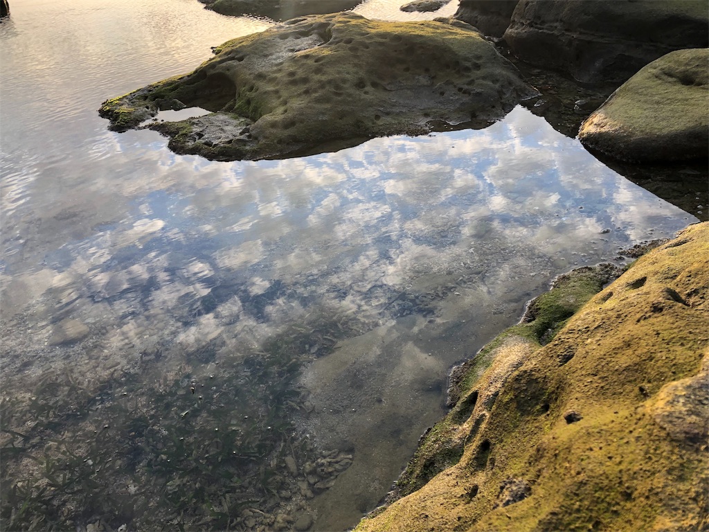f:id:iharch:20191116222547j:image f:id:iharch:20191116222547j:image