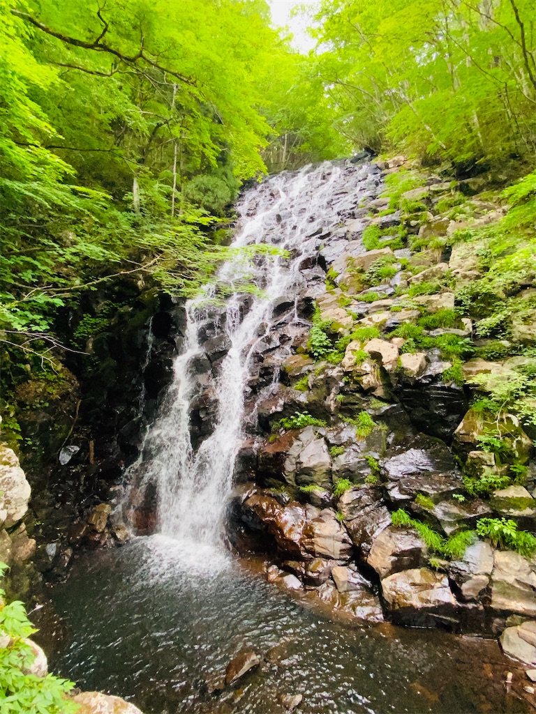 布滝 津山市阿波 布滝 と書いて のんたき と読む 白い布をさらしているように見える滝はとてもきれいでした ホテルマンの休日