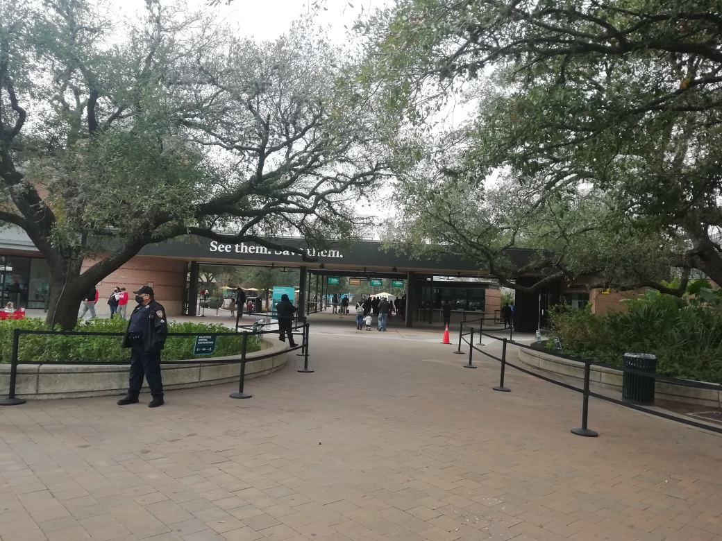f:id:ihouston:20210215065231j:plain