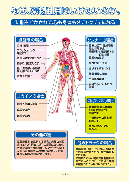 薬物身体への影響