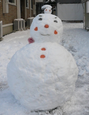 f:id:ihsoyusta:20101231163305j:image