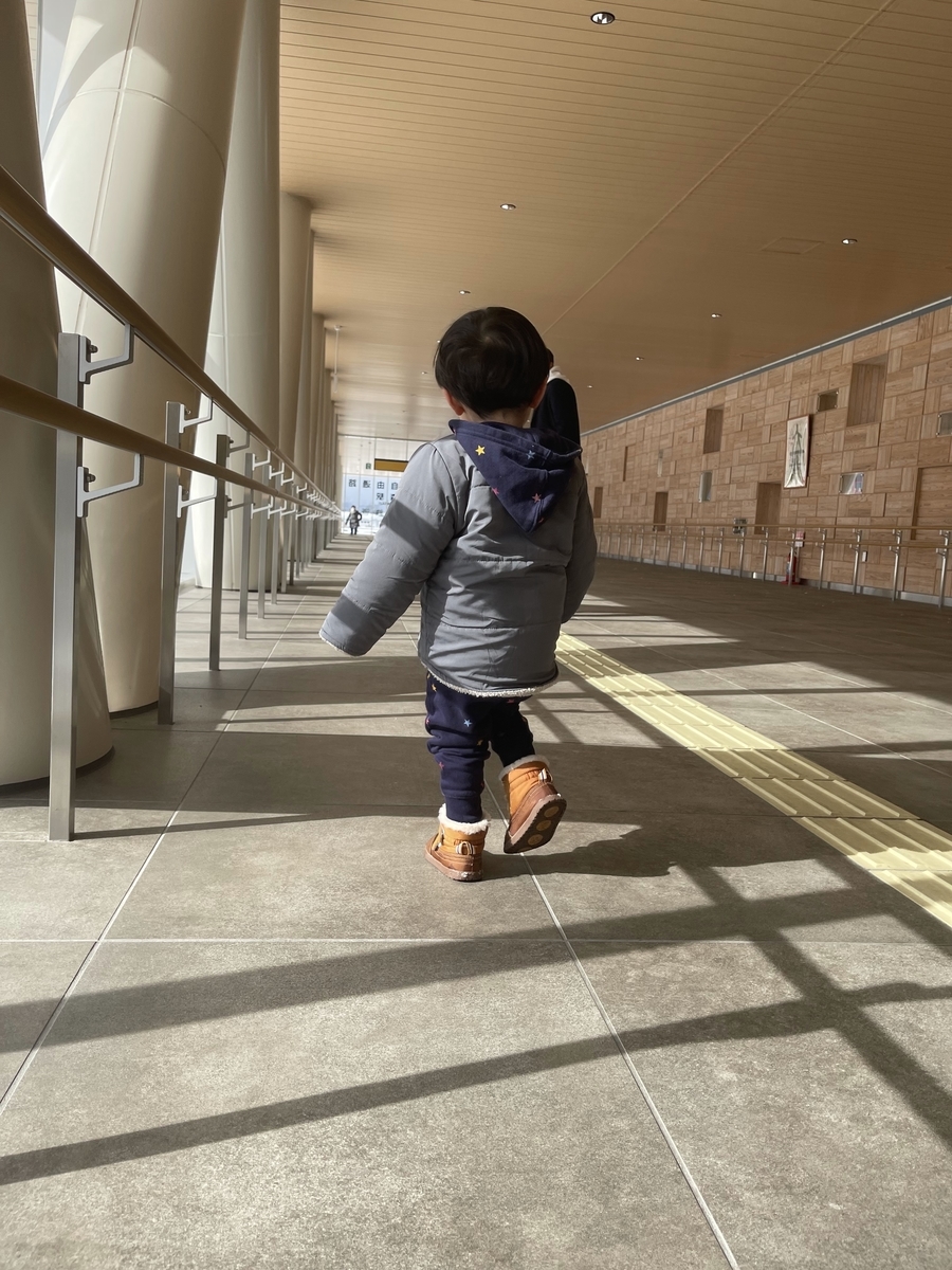 f:id:ii_yasu:20220207101549j:plain