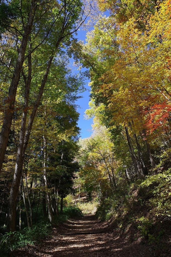 f:id:iibuni:20191110222359j:plain