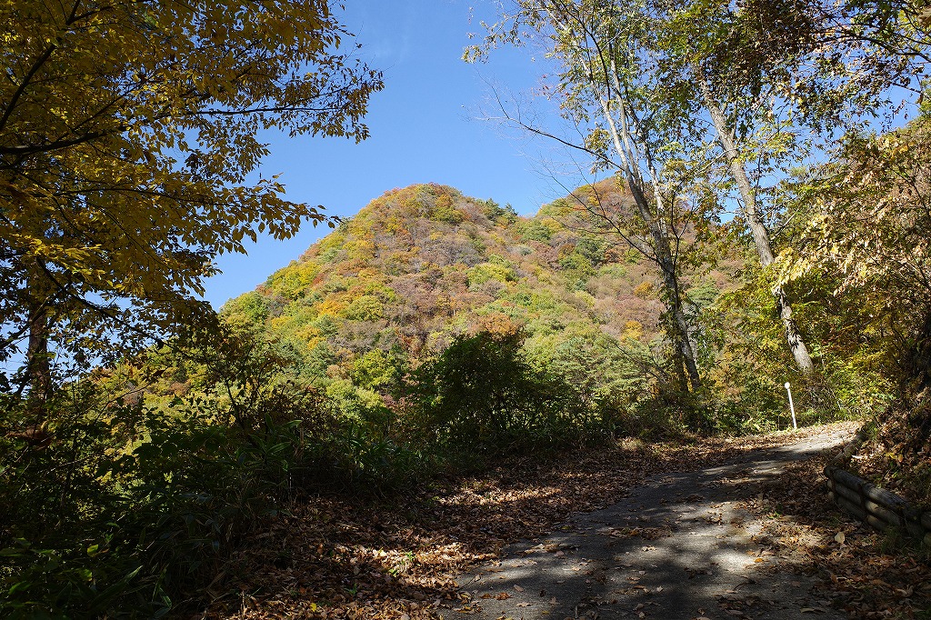 f:id:iibuni:20191110222458j:plain