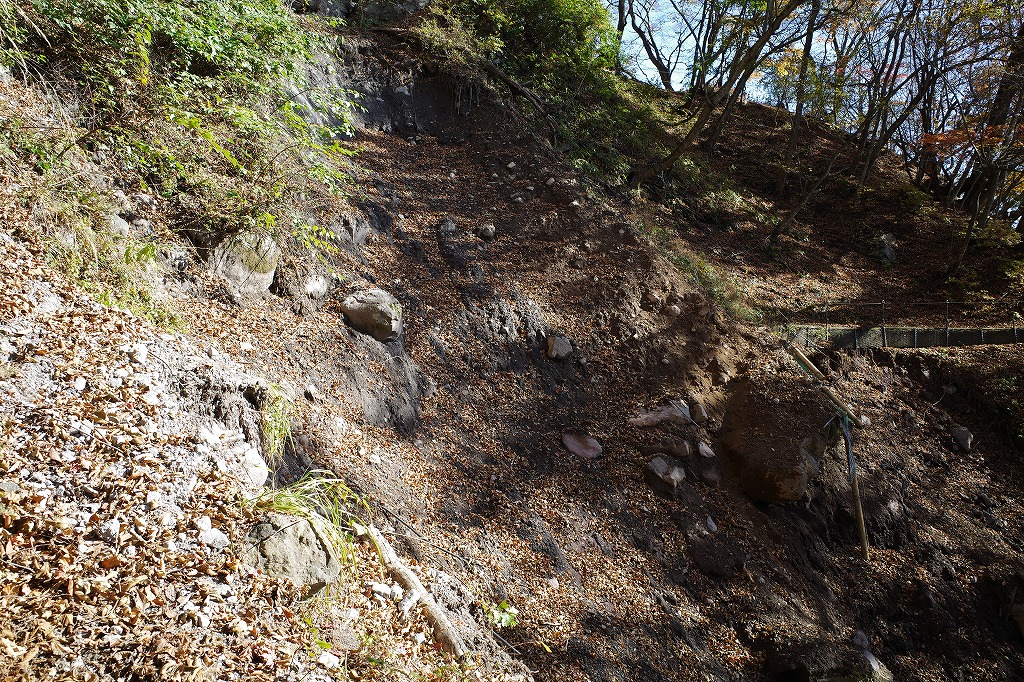 f:id:iibuni:20191110222727j:plain