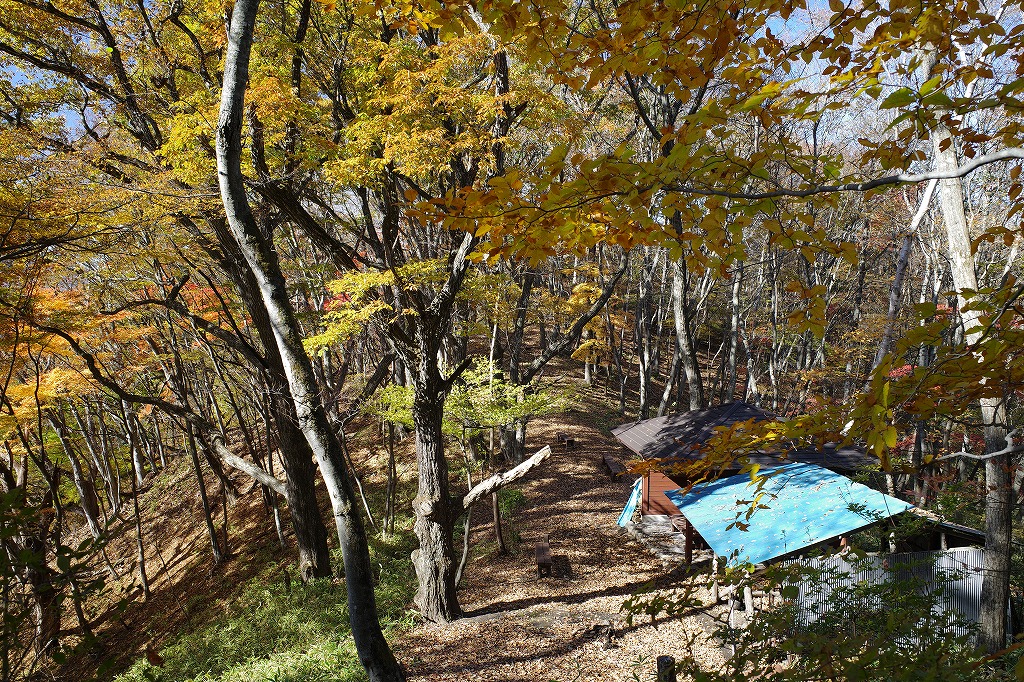 f:id:iibuni:20191110223040j:plain