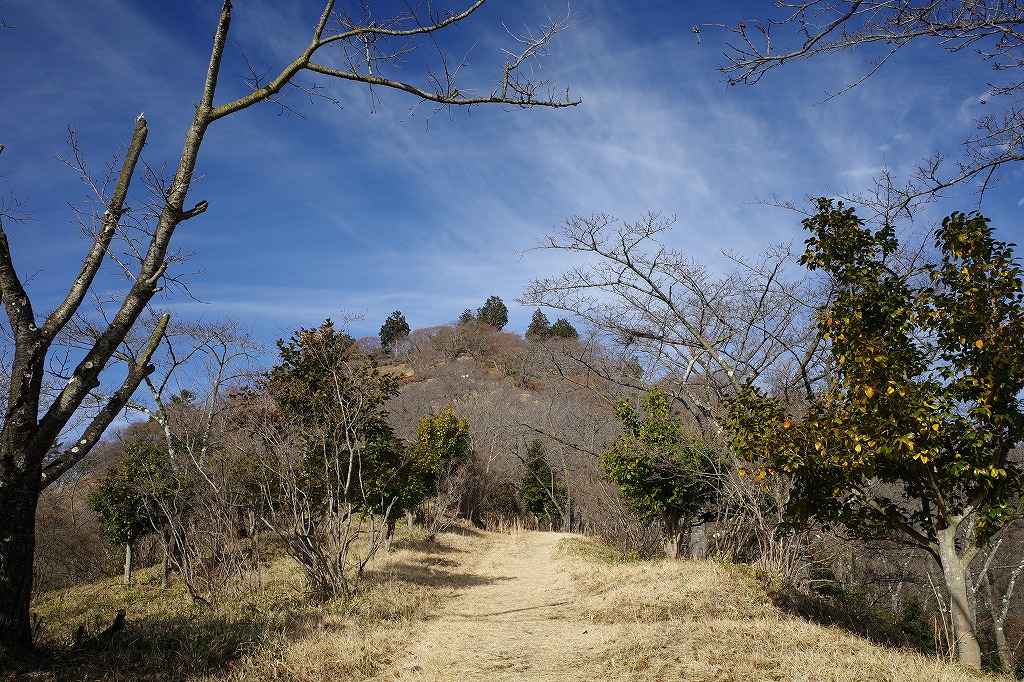 f:id:iibuni:20200125215309j:plain