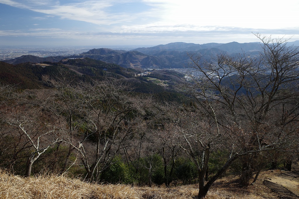 f:id:iibuni:20200125215321j:plain