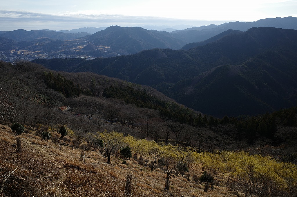 f:id:iibuni:20200125215344j:plain