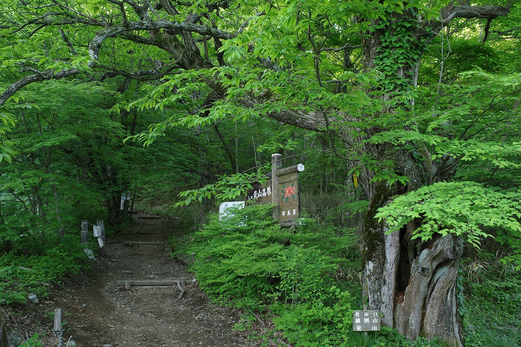 f:id:iibuni:20200530123803j:plain