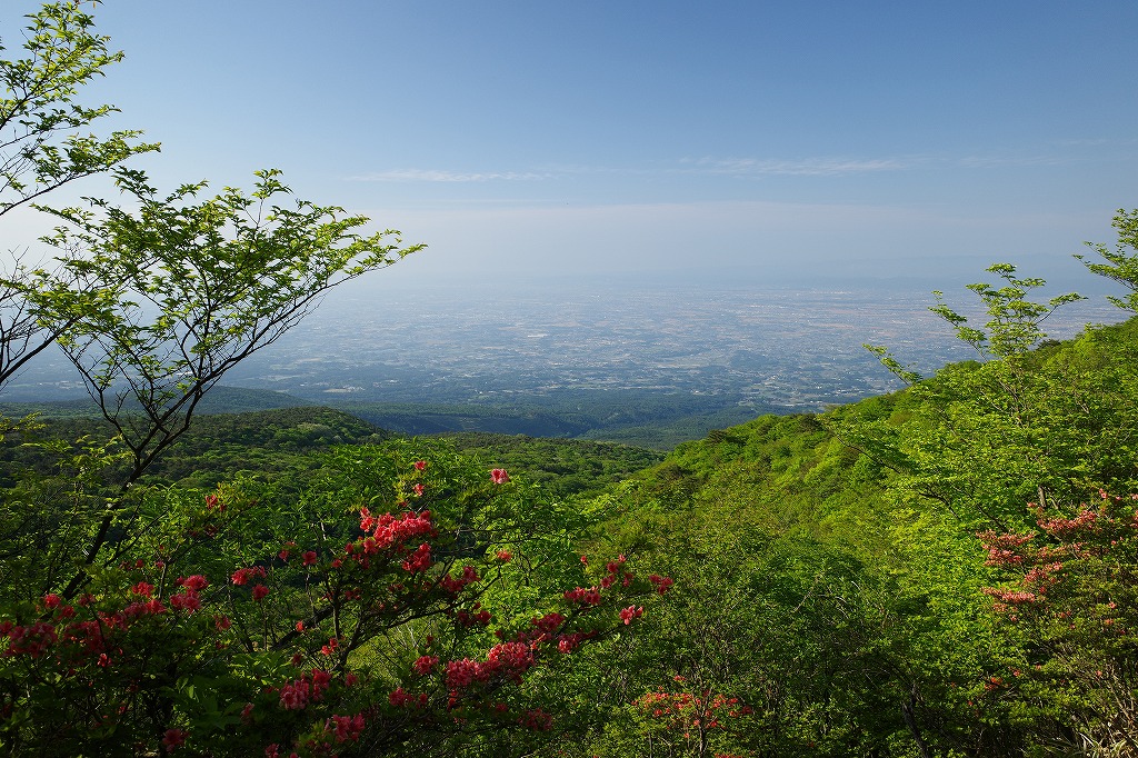 f:id:iibuni:20200530123825j:plain