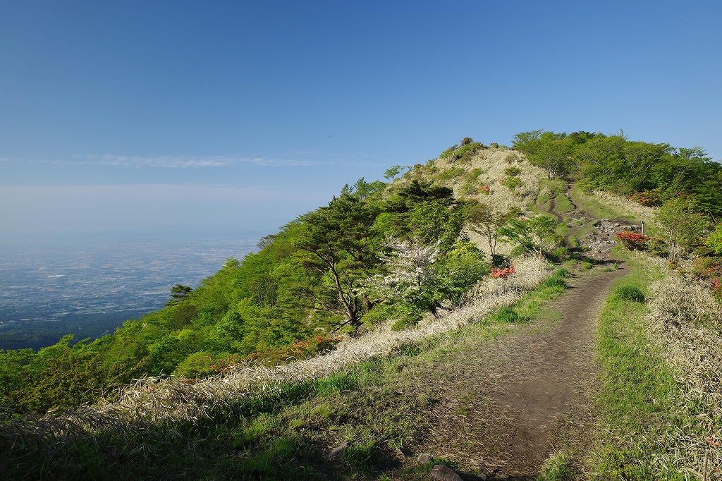 f:id:iibuni:20200530123925j:plain