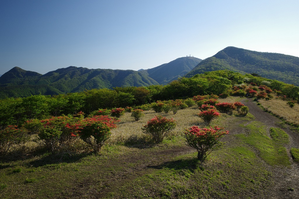 f:id:iibuni:20200530123937j:plain