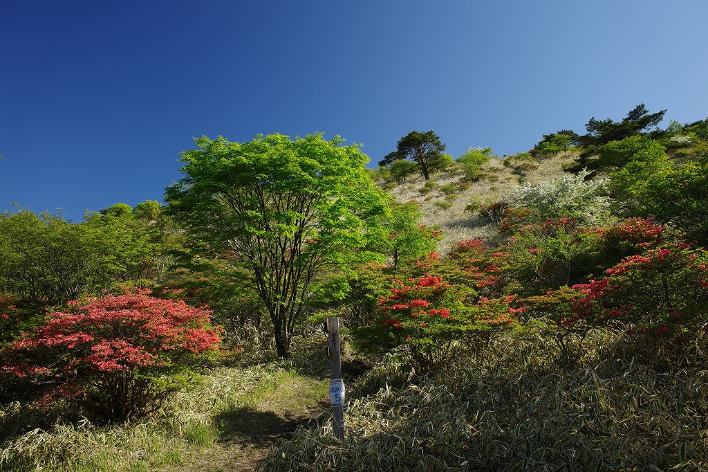 f:id:iibuni:20200530124034j:plain