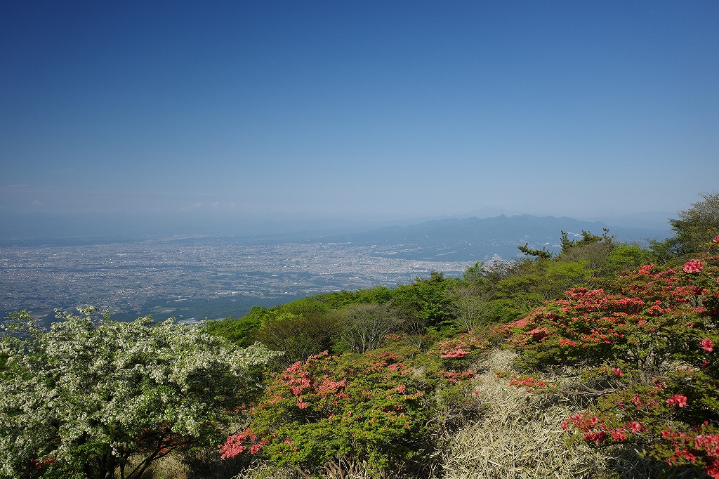 f:id:iibuni:20200530124043j:plain