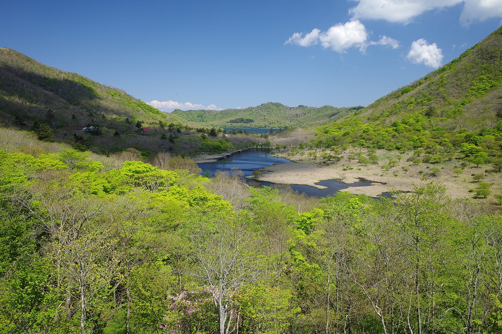 f:id:iibuni:20200530124100j:plain