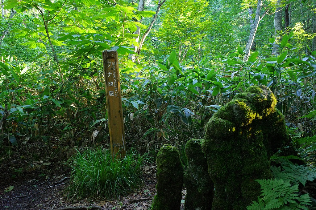 f:id:iibuni:20200802170209j:plain