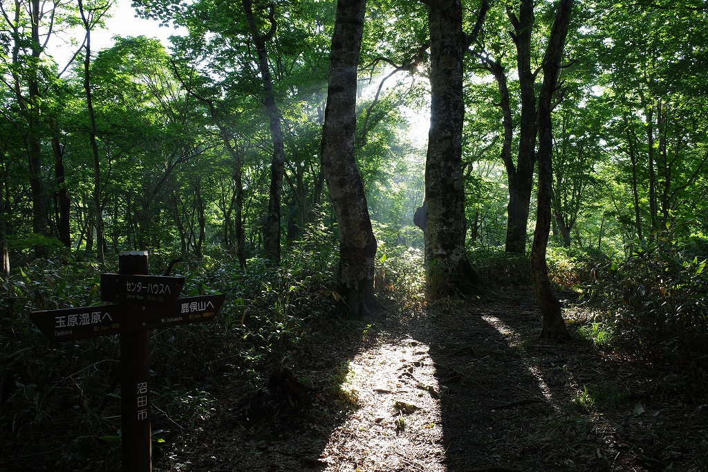 f:id:iibuni:20200802170229j:plain