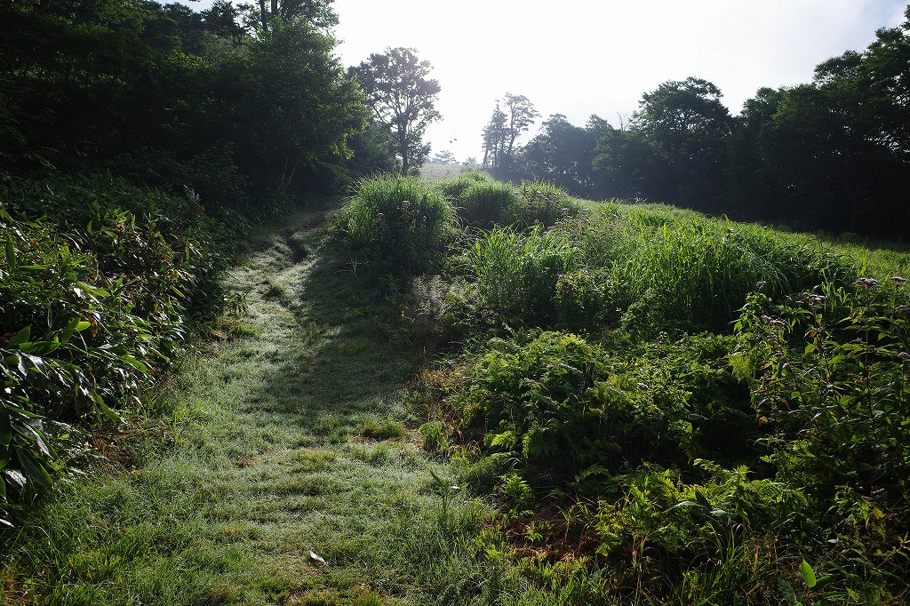 f:id:iibuni:20200802170322j:plain