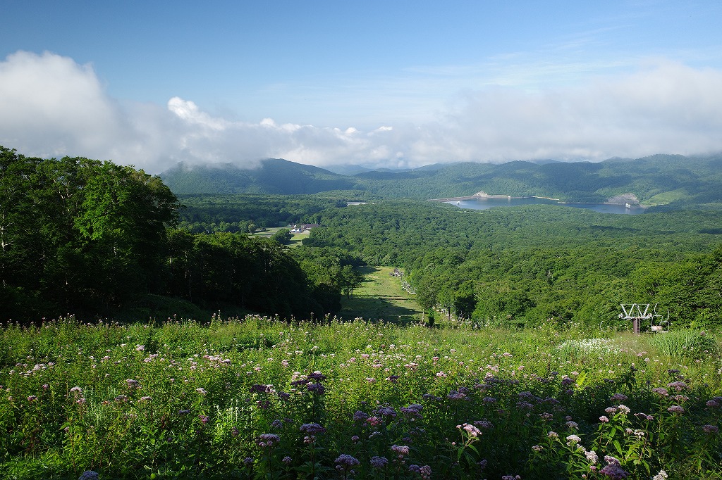 f:id:iibuni:20200802170331j:plain