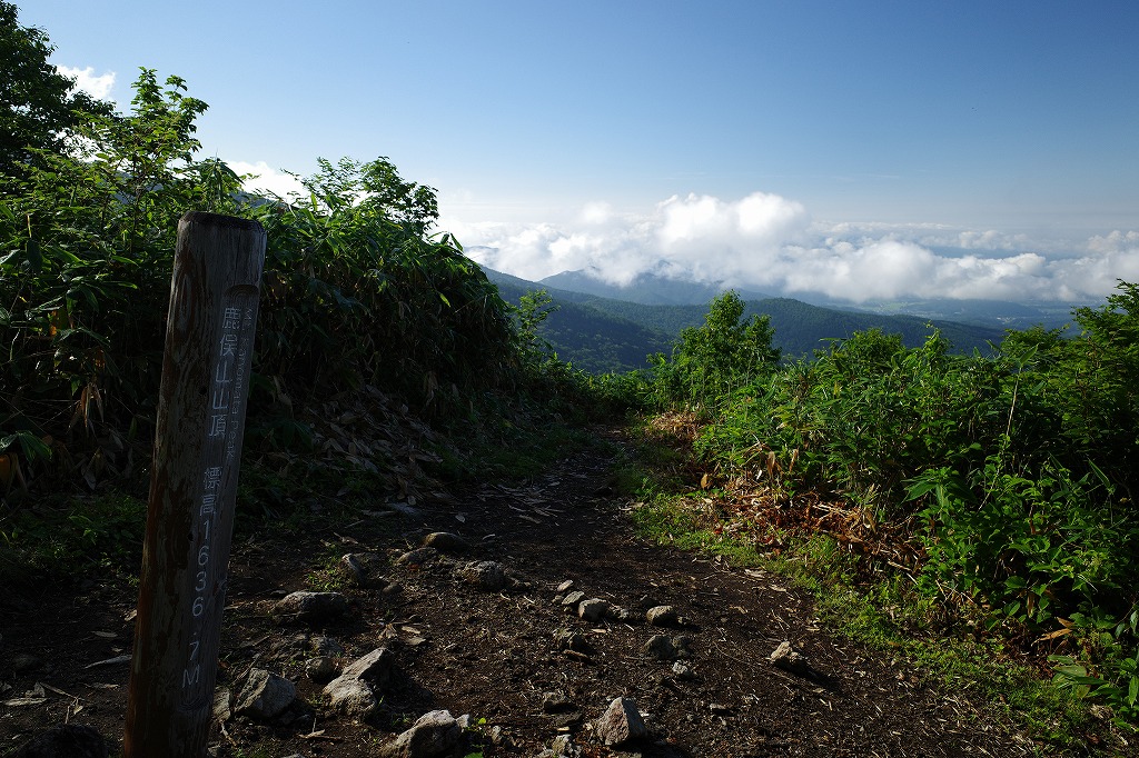 f:id:iibuni:20200802170409j:plain