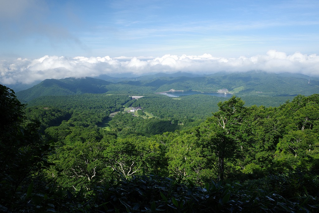 f:id:iibuni:20200802170422j:plain