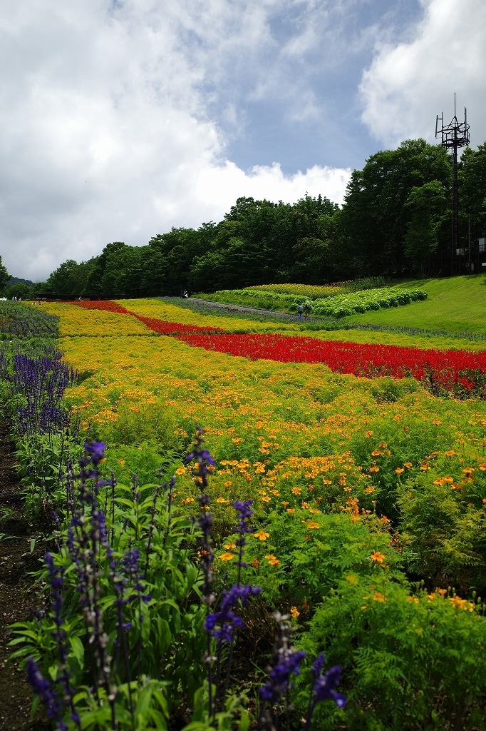 f:id:iibuni:20200802170651j:plain