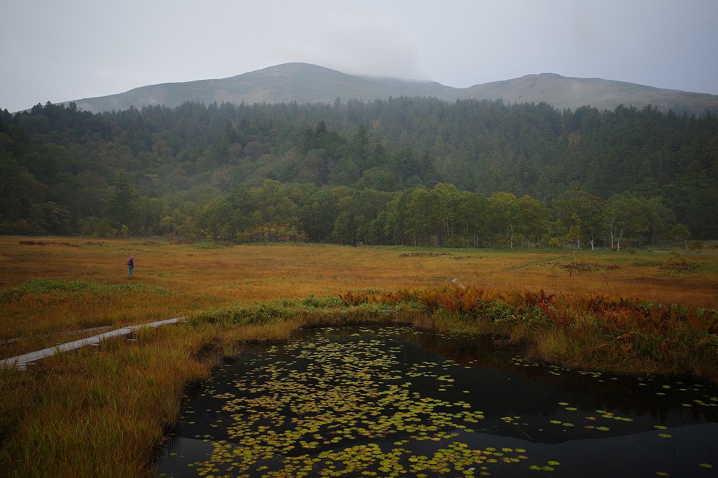 f:id:iibuni:20201003193130j:plain f:id:iibuni:20201003193130j:plain