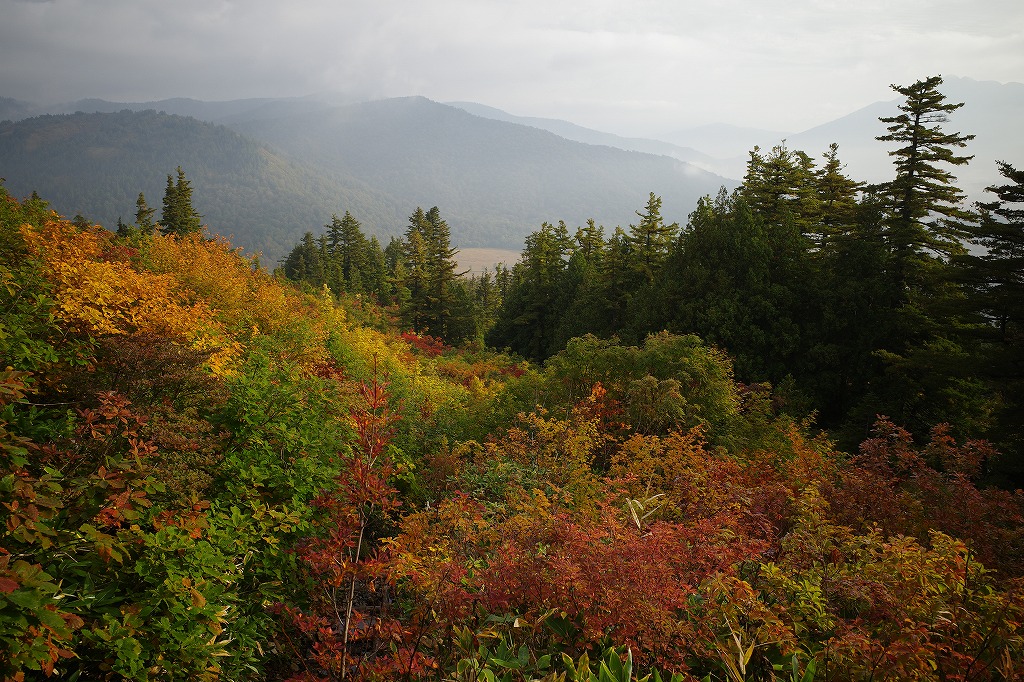 f:id:iibuni:20201003193236j:plain f:id:iibuni:20201003193236j:plain