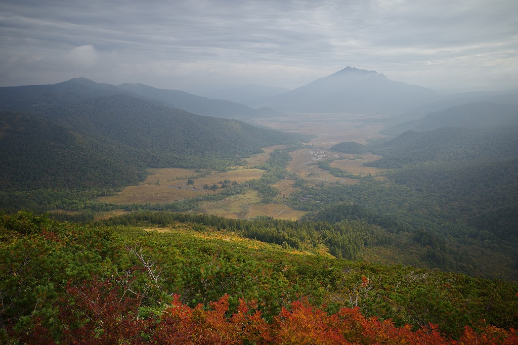 f:id:iibuni:20201003193332j:plain f:id:iibuni:20201003193332j:plain