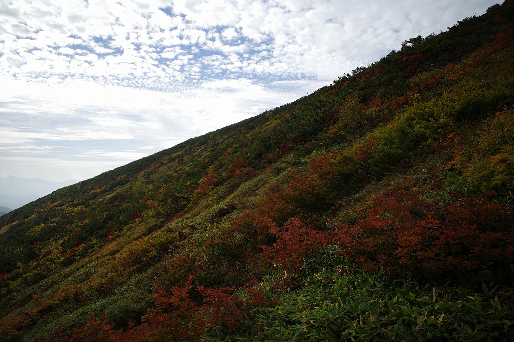 f:id:iibuni:20201003193553j:plain f:id:iibuni:20201003193553j:plain