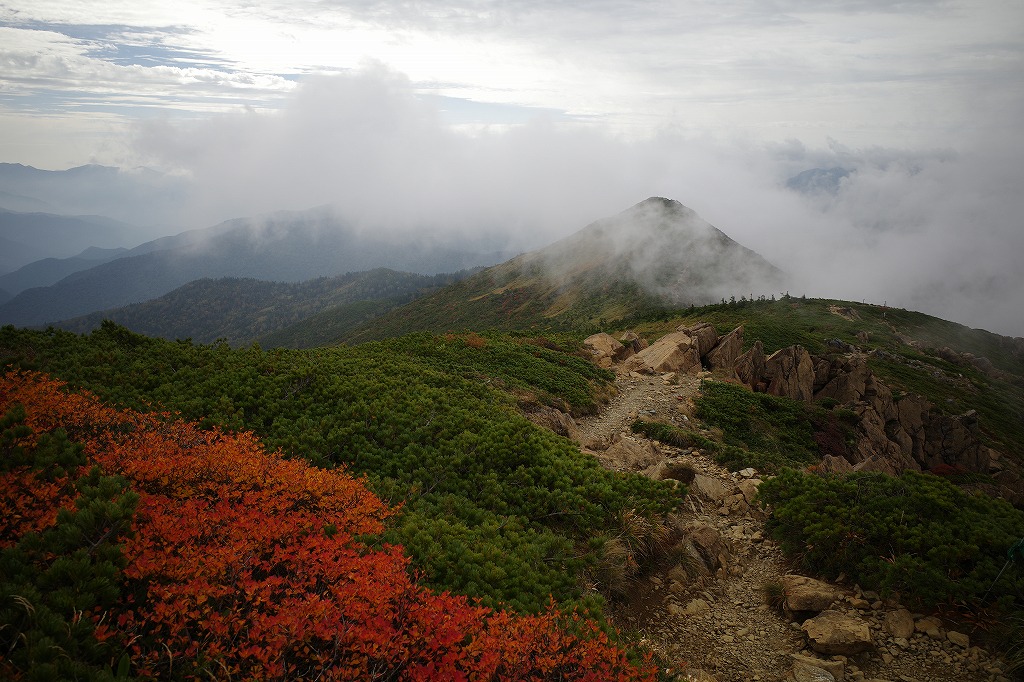 f:id:iibuni:20201003193623j:plain f:id:iibuni:20201003193623j:plain