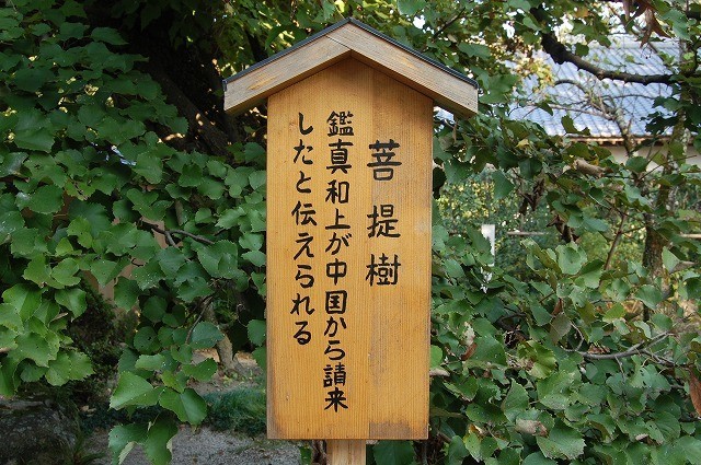 イメージ 14