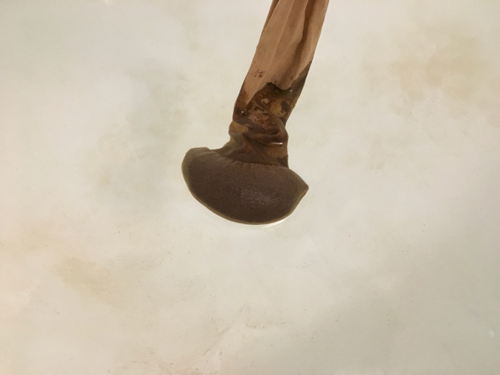 f:id:iietzsche:20170219102824j:plain f:id:iietzsche:20170219102824j:plain