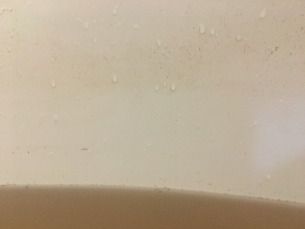 f:id:iietzsche:20170219102923j:plain f:id:iietzsche:20170219102923j:plain