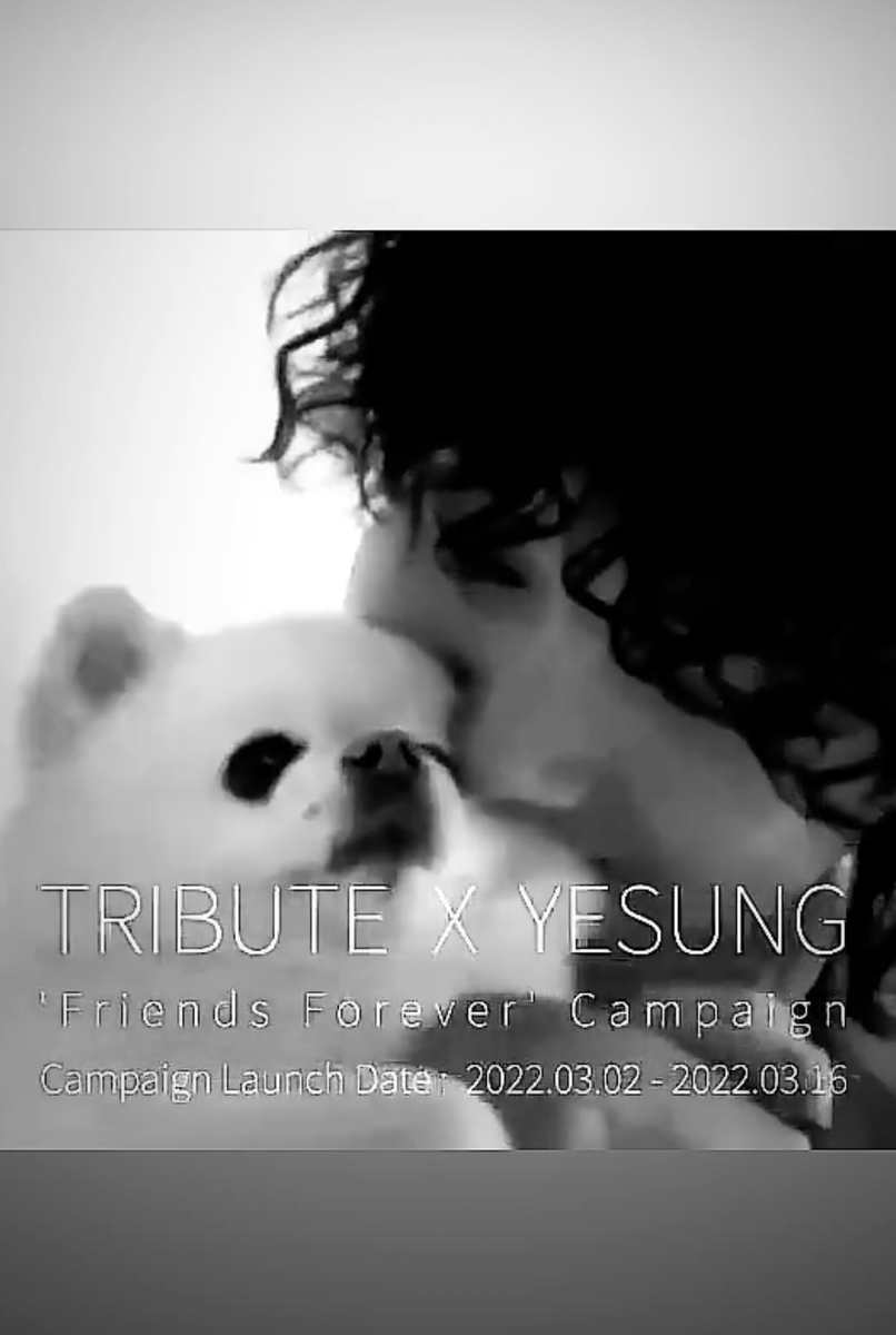 f:id:iiic_da13ki:20220302153650j:plain