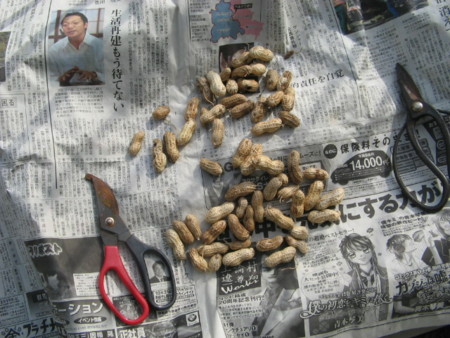 f:id:iirei:20091104132545j:image