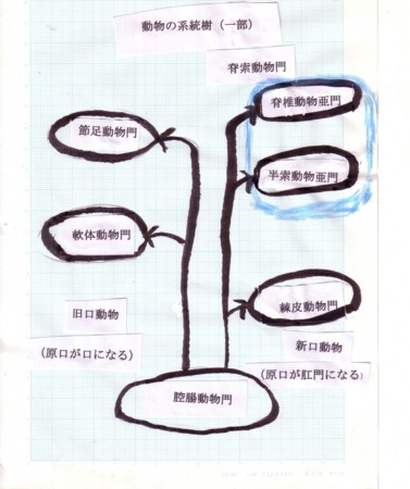 f:id:iirei:20091127085527j:image f:id:iirei:20091127085527j:image