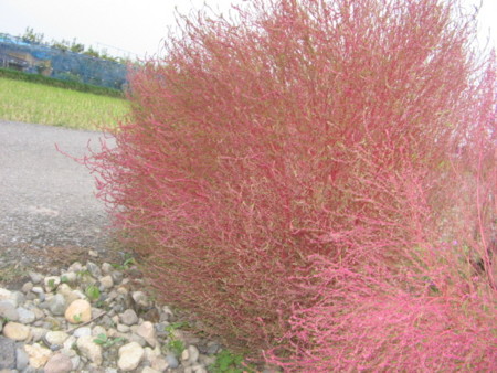 f:id:iirei:20101019155952j:image f:id:iirei:20101019155952j:image