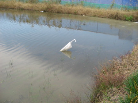 f:id:iirei:20101102134033j:image