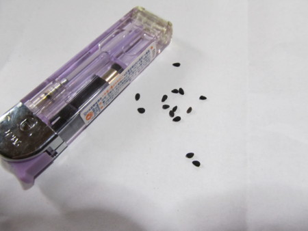 f:id:iirei:20110307050932j:image