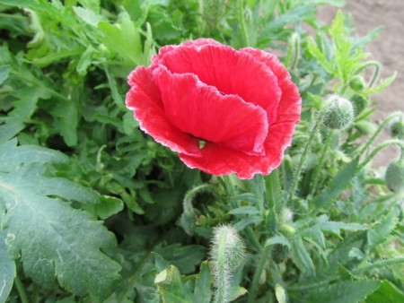 f:id:iirei:20110323002028j:image f:id:iirei:20110323002028j:image