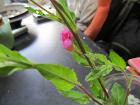 f:id:iirei:20110401050305j:image f:id:iirei:20110401050305j:image